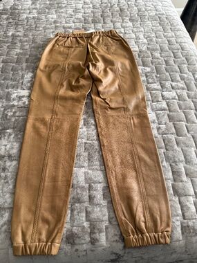 Madewell Leather Jogger Pant